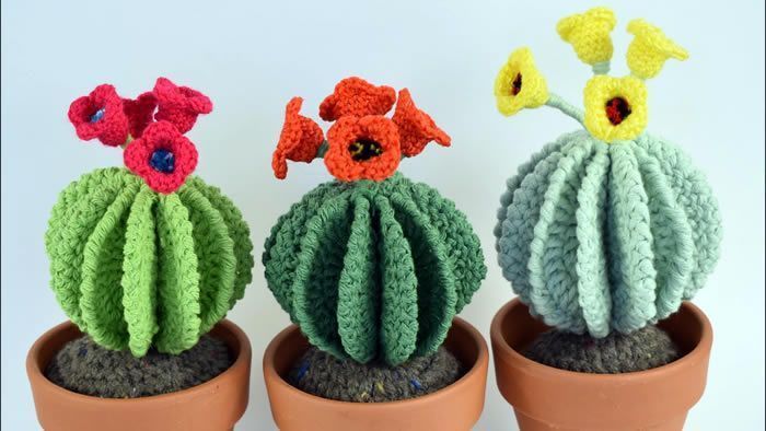 Cactus Redondos con Flores Amigurumi – Videotutorial Paso a Paso🌵🧶