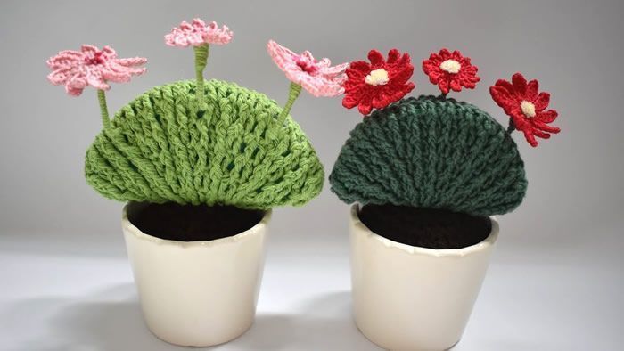 Cactus con flores de ganchillo paso a paso